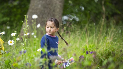 A child wandering through tall grass and daisies